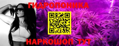 соль ск Кимры