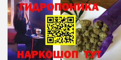 индика Малгобек