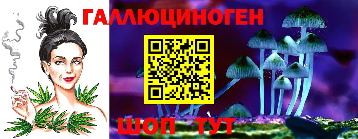 Щёлково  Галлюциногенные грибы мицелий  Вход с VPN 